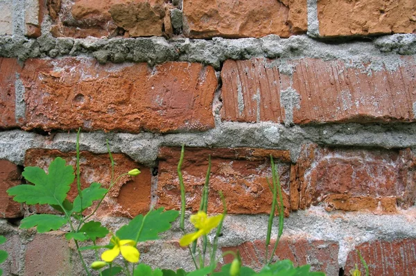 Fragmento del muro de ladrillo — Foto de Stock