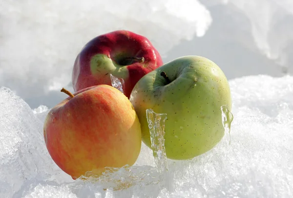 stock image Apples