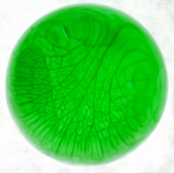 Üveg átlátszó gömb — Stock Fotó