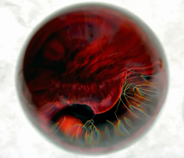 Esfera transparente de vidro — Fotografia de Stock
