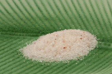 Pink Salt clipart