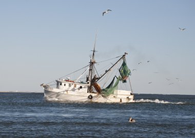 Shrimp Boat with Flock of Sea Gulls clipart