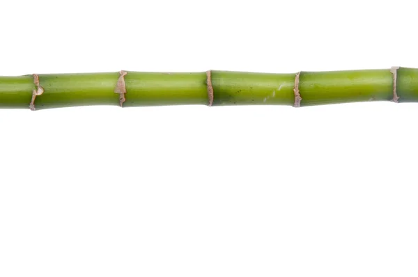 Fronteira de bambu ou fundo — Fotografia de Stock