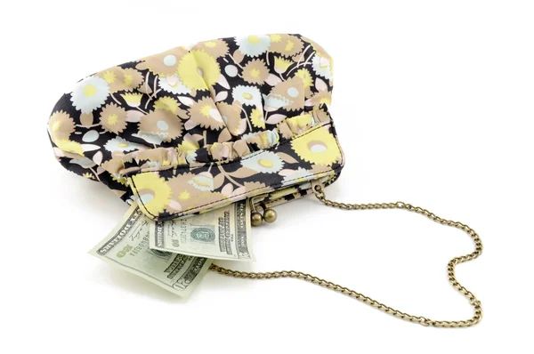 Para dolu çanta. — Stok fotoğraf