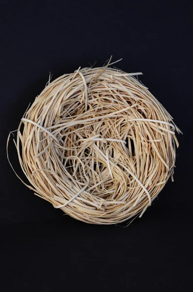 Lege nest — Stockfoto