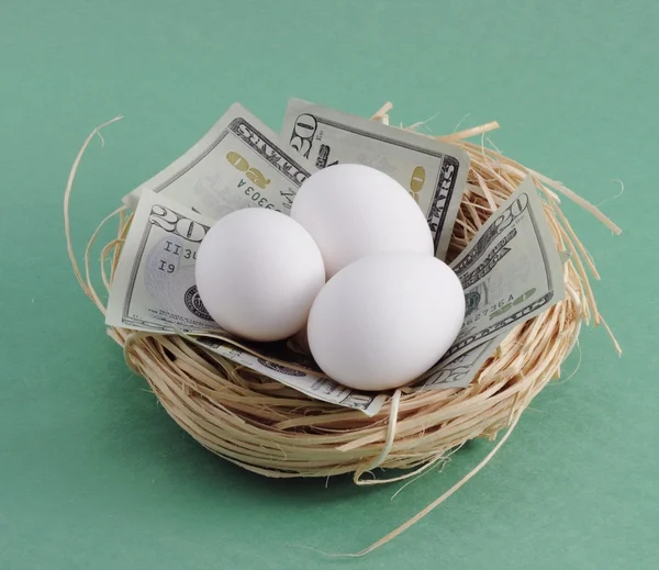 Ninho com dinheiro e ovos — Fotografia de Stock
