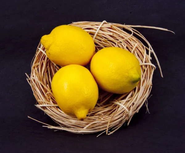 Яйцо-гнездо превратилось в лимоны — стоковое фото