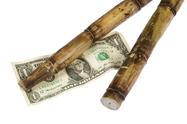 Стоимость сахарного тростника — стоковое фото