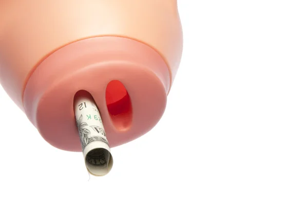Pig Snout with Cash — Stock Photo, Image