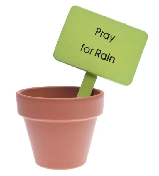 Be för regn — Stockfoto