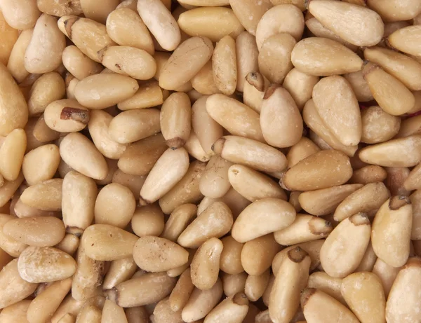 Сосновые орехи — стоковое фото