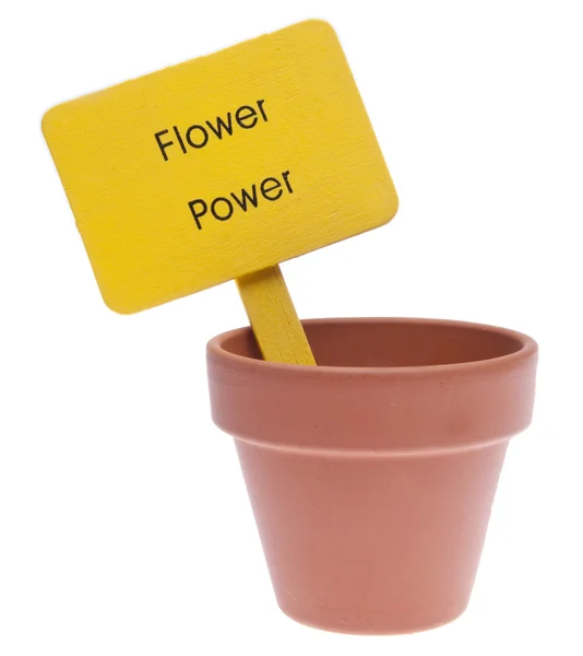 Poder da flor — Fotografia de Stock