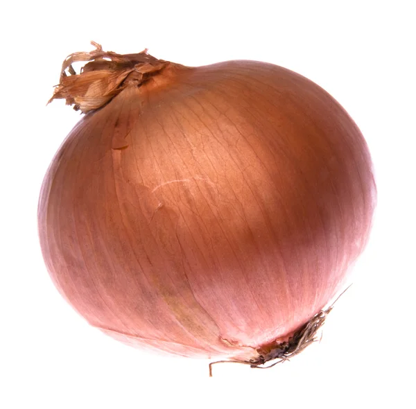 Onion Personality — Stock Photo, Image