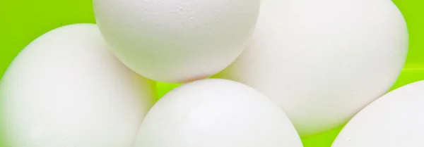 Eggs on Bright Green Banner — Stock Photo, Image