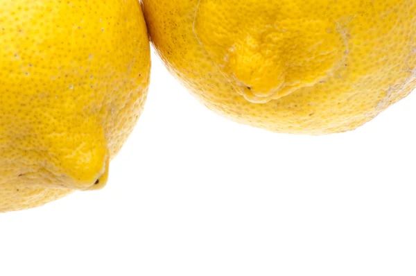 Eigenzinnige citroen grens — Stockfoto