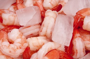 Fresh Shrimp on Ice clipart