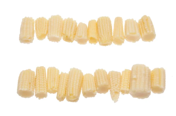 Rows of Baby Corn — Stock Photo, Image