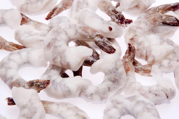 Crevettes congelées — Photo