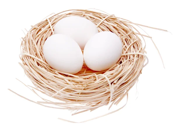 Fészek tojással — Stock Fotó
