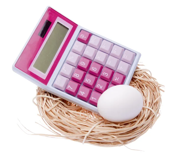Kiszámítja a költsége a fészekben lévő tojás — Stock Fotó