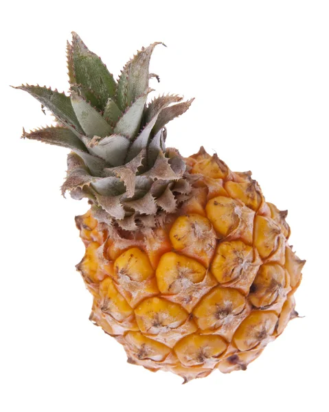 Ananas dziecko Republiki Południowej Afryki — Zdjęcie stockowe