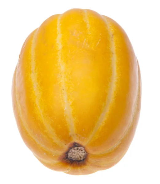 Melon arc-en-ciel jaune — Photo