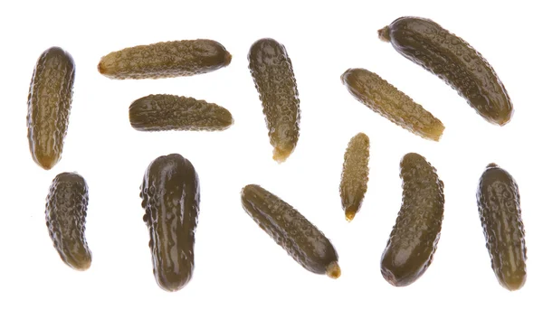 Grupp av baby pickles — Stockfoto
