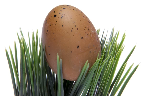 Easter Egg in Grass — Stock Photo, Image