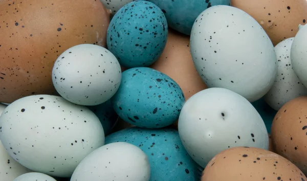 Fundal ou de Paște — Fotografie, imagine de stoc
