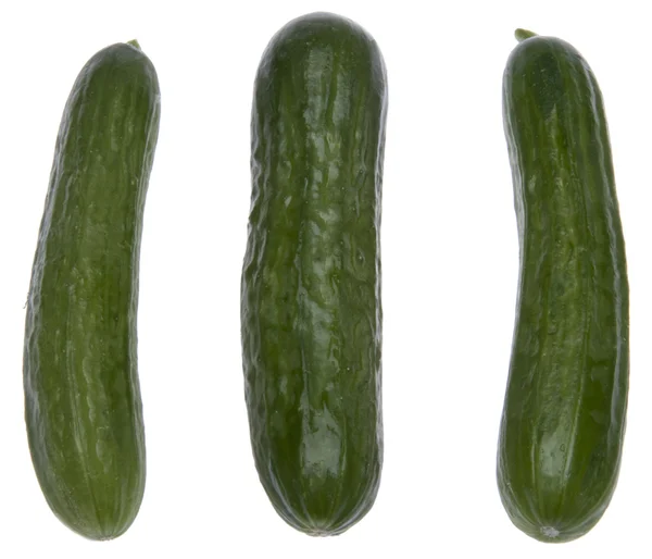 Trio van verse komkommers — Stockfoto