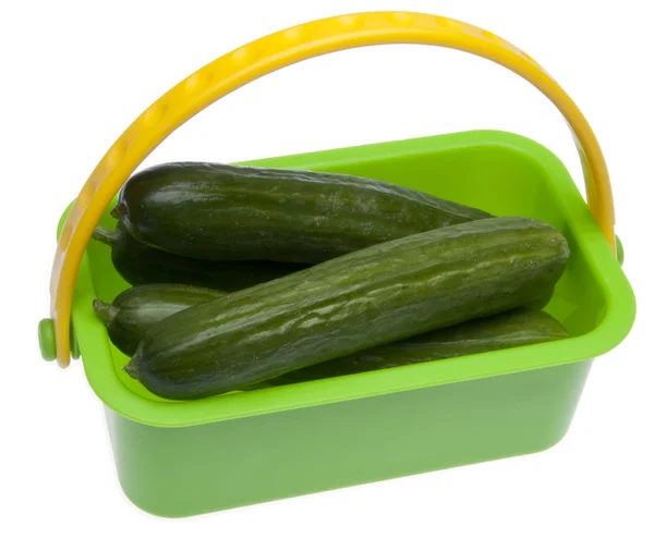 Basket of Fresh Cucumbers — Stock Photo, Image