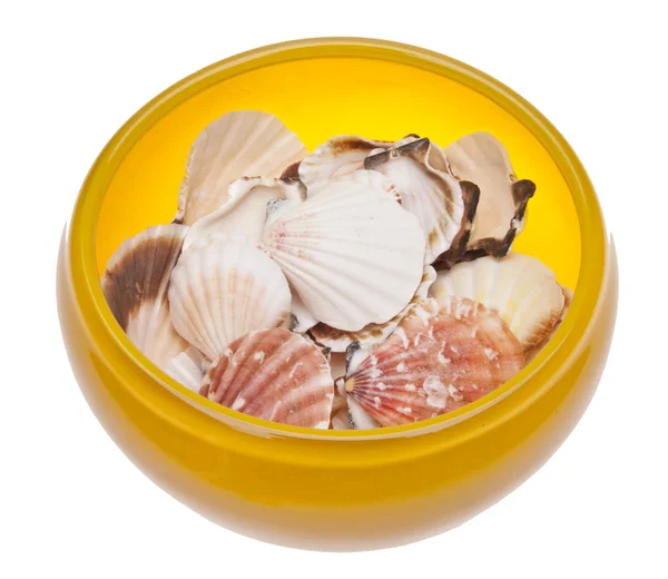 Gelbe Glasschale voller Muscheln — Stockfoto