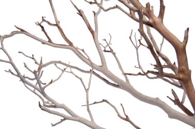 Manzantia Decorative Branches clipart