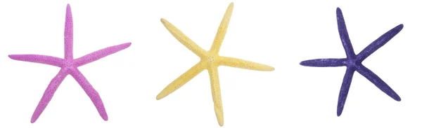 Vibrante trío de estrellas de mar — Foto de Stock