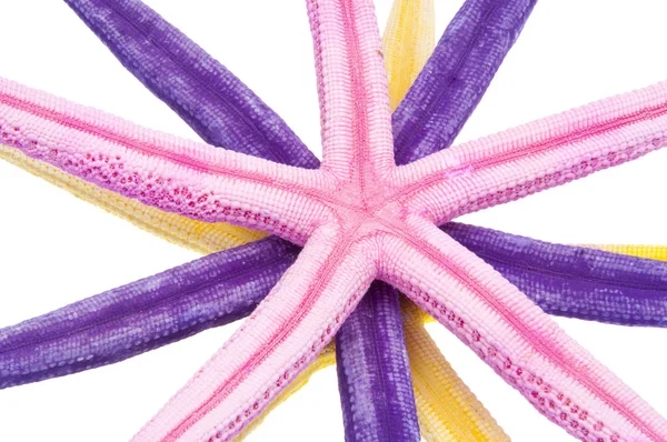 Vibrant Starfish Background — Stock Photo, Image