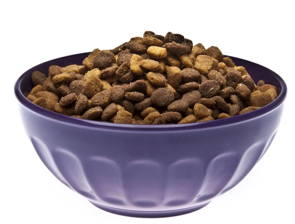 Чаша корма для домашних животных — стоковое фото