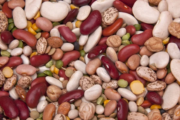 다채로운 콩과 식물 (콩) 배경 — 스톡 사진