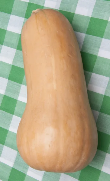 Butternut Squash on a Picnic Blanket — Stock Photo, Image