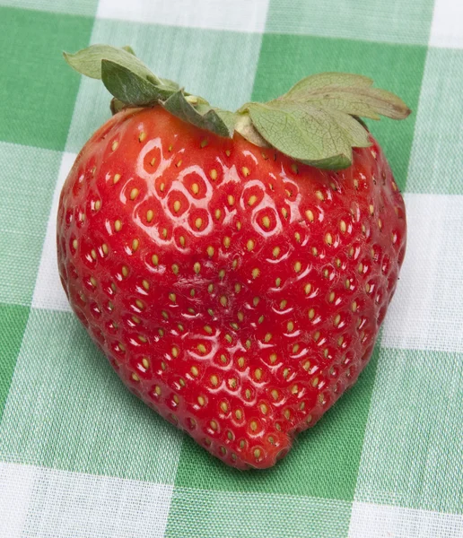 Strawberry Picnic — Stock Photo, Image