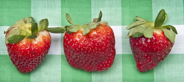 草莓野餐 — 图库照片