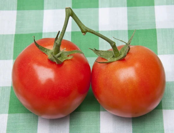 Para pomidorów na koc piknikowy. — Zdjęcie stockowe