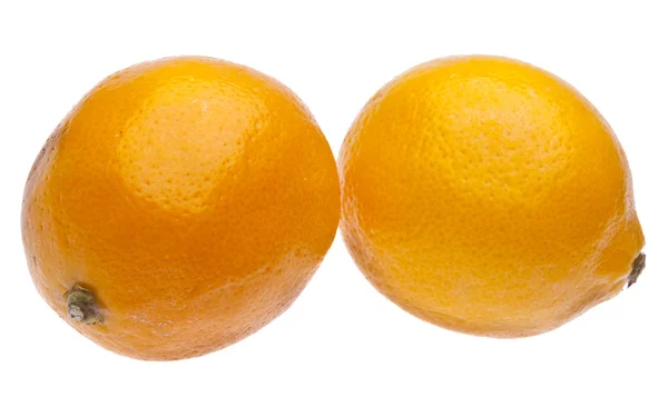 Pair of Sweet Meyer Lemons — Stock Photo, Image