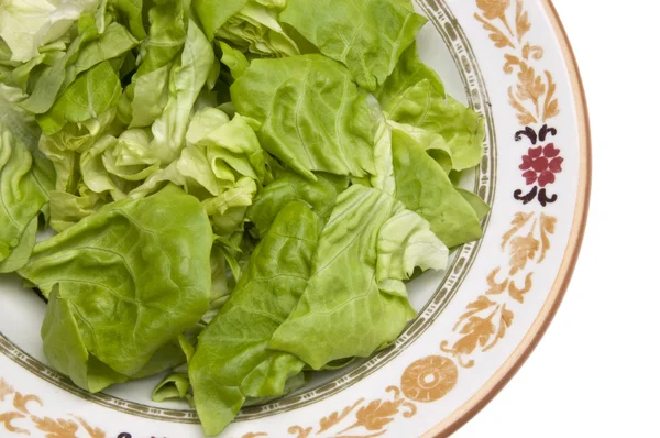 Salada aborrecida — Fotografia de Stock