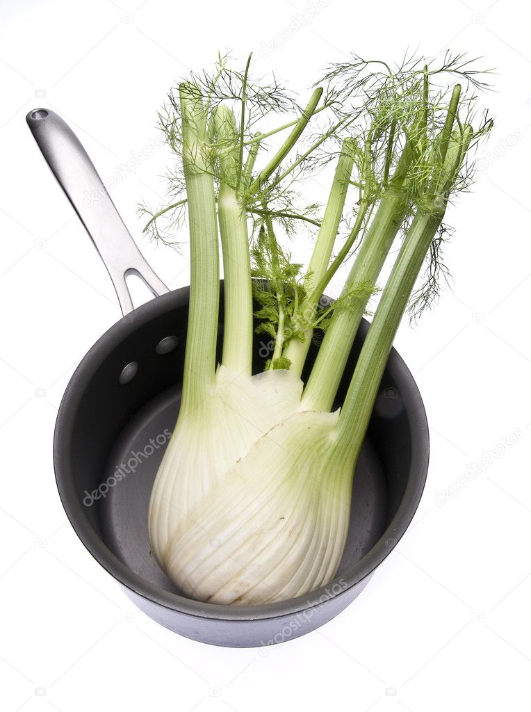 Fennel in a Cooking Pot