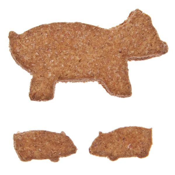 Pig Shaped Cookies — Stok fotoğraf