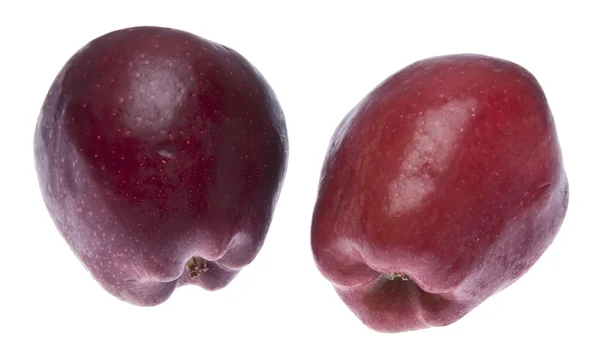 Parę jabłek — Zdjęcie stockowe