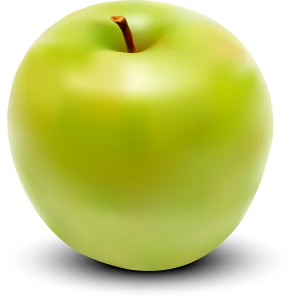 Vector fresh green apple — Stock Vector