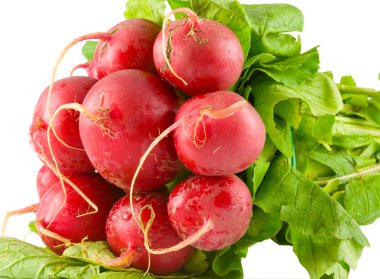 Radish clipart