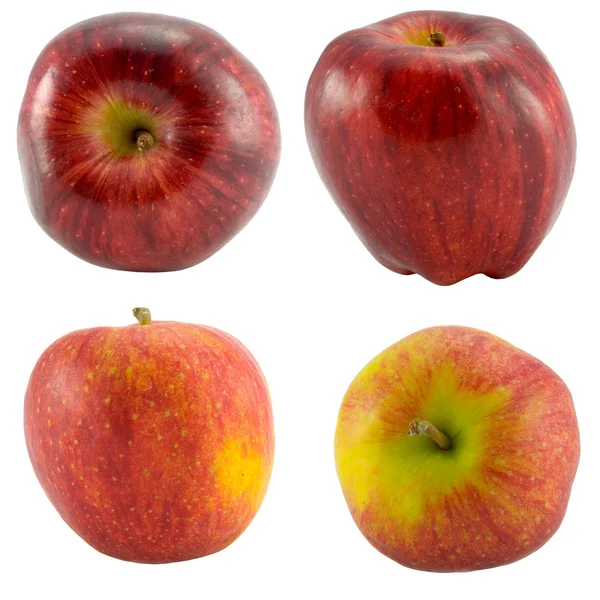 Kolekce červená jablka — Stock fotografie