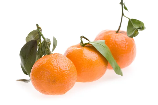 stock image Three tangerines